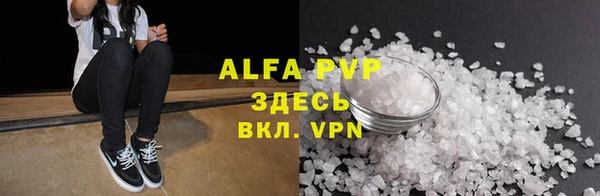 молекула духа Богданович