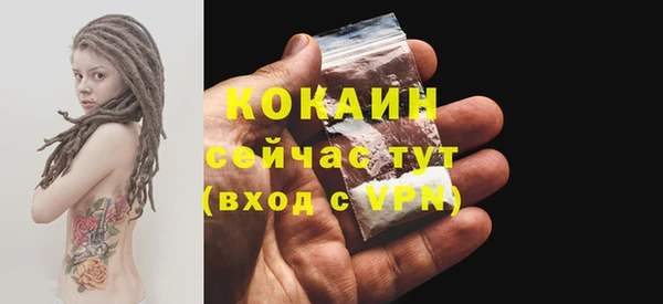 apvp Богородицк