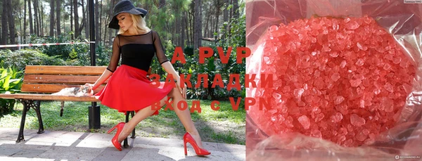молекула духа Богданович