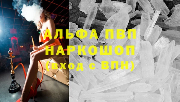 молекула духа Богданович