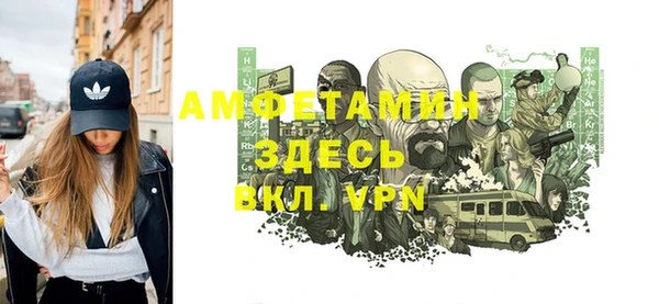 молекула духа Богданович