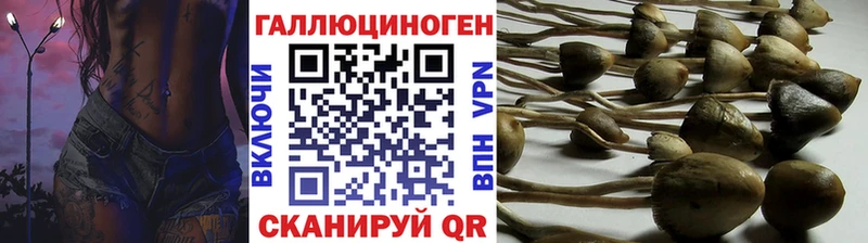 где купить наркоту  Курильск  Галлюциногенные грибы ЛСД 